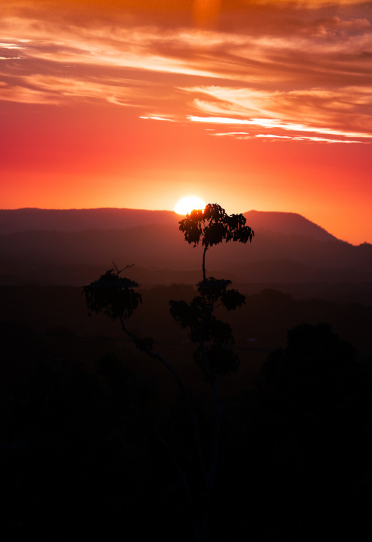 Australian sunset